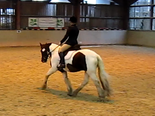 vlcsnap-2010-11-14-16h54m45s25