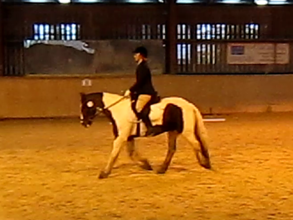 vlcsnap-2010-11-14-16h58m15s87