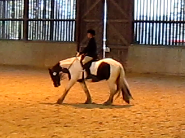 vlcsnap-2010-11-14-17h06m16s33