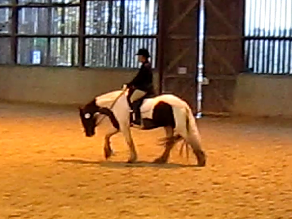 vlcsnap-2010-11-14-17h06m21s85