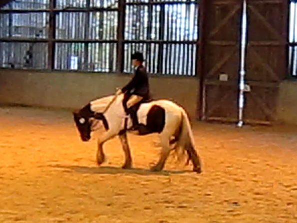 vlcsnap-2010-11-14-17h06m25s125