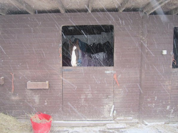 Lance in his stable