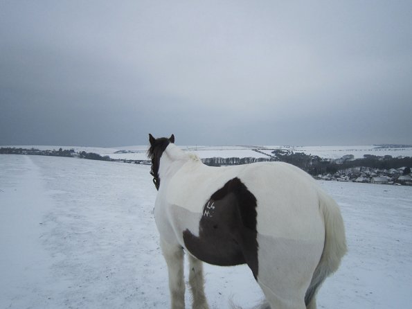 Lance playing in the snow (9)