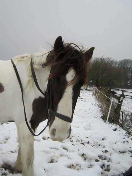 Lance ready to go (2)