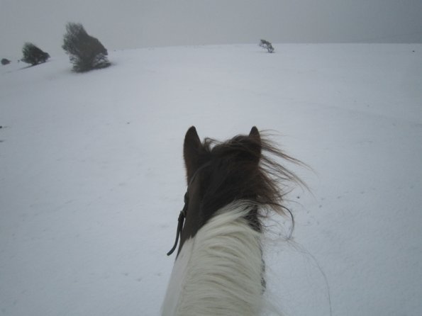 Lance ridden earshots (3)