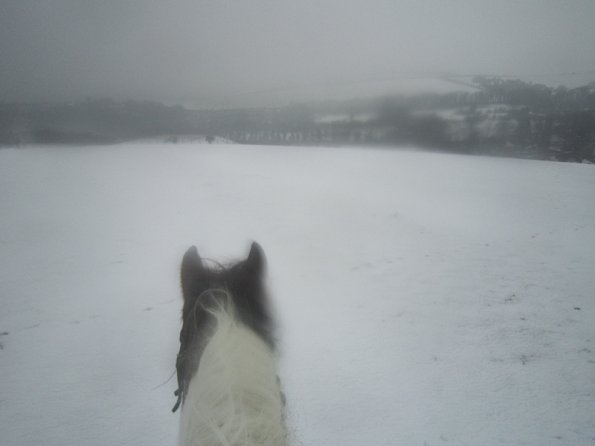 Lance ridden earshots (4)