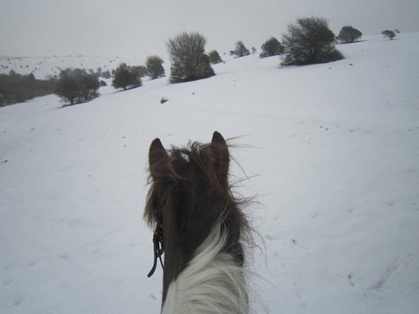 Lance ridden earshots