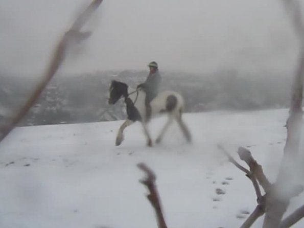Lance ridden in the snow (2)