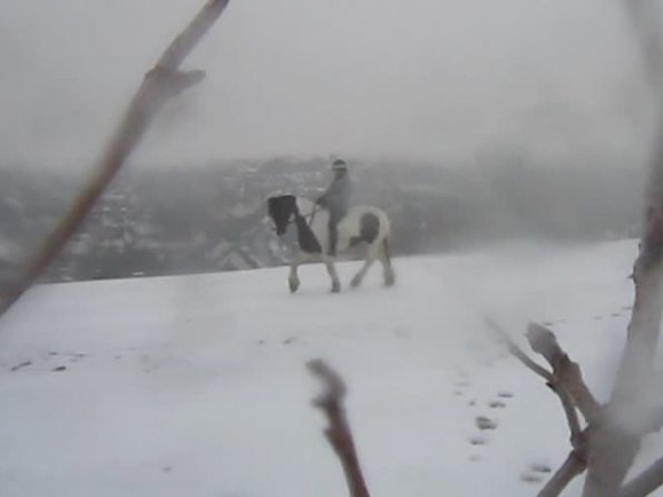 Lance ridden in the snow