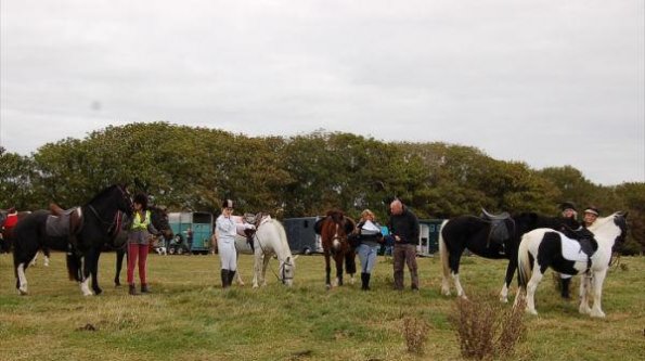 3454_395711270496523_527575521_n