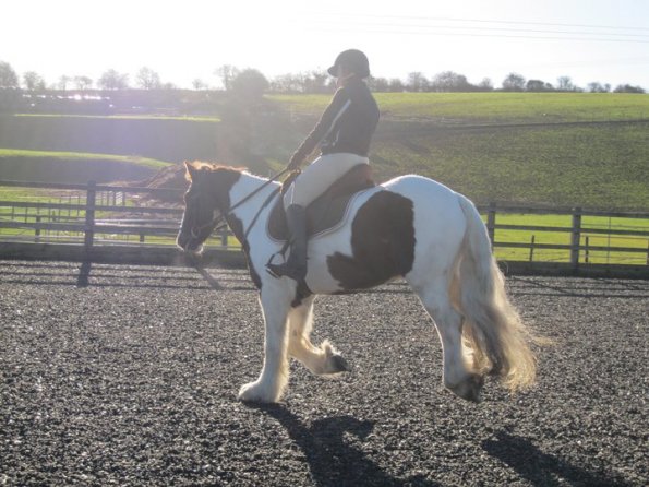 166342_490574503411_717878411_6230197_5516945_n