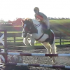 Jumping schooling