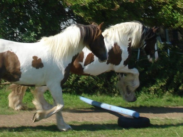 Lance doesnt feel like working