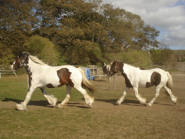 Little and large.jpg