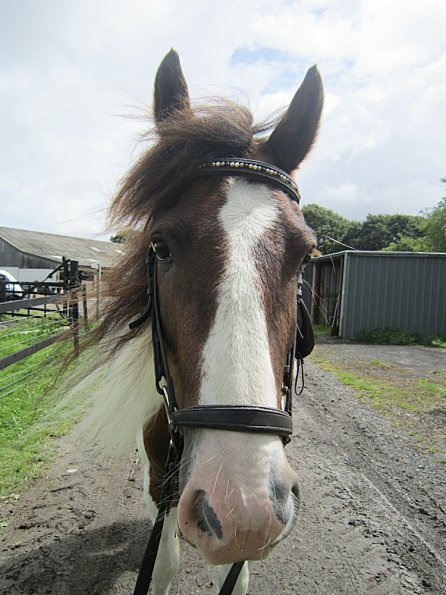Posing with bling browband