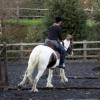 Lance canter (2)