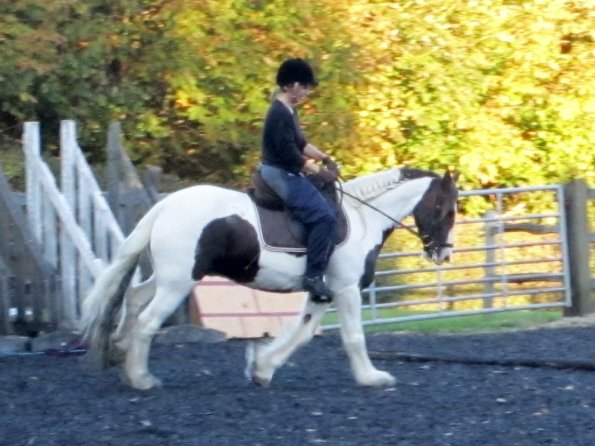 Lance canter (5)