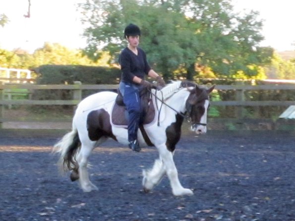 Lance canter (6)
