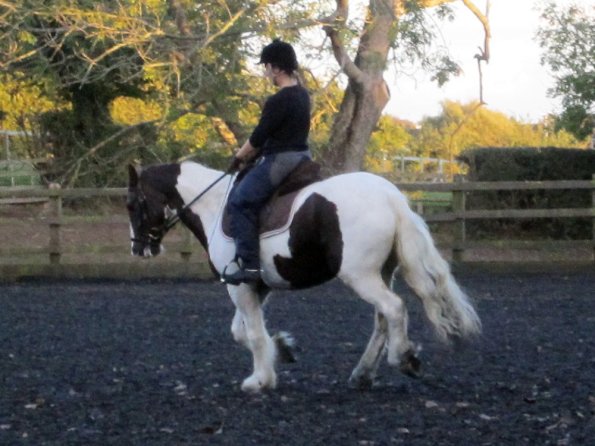 Lance canter (9)