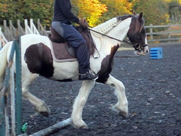 Lance lifting shoulder (4)