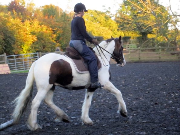 Lance lifting shoulder (6)