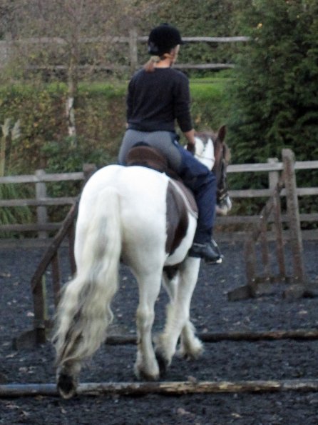 Lance trotting poles (10)