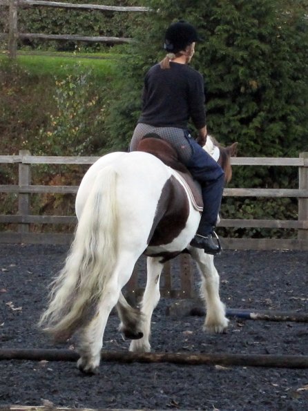 Lance trotting poles (12)