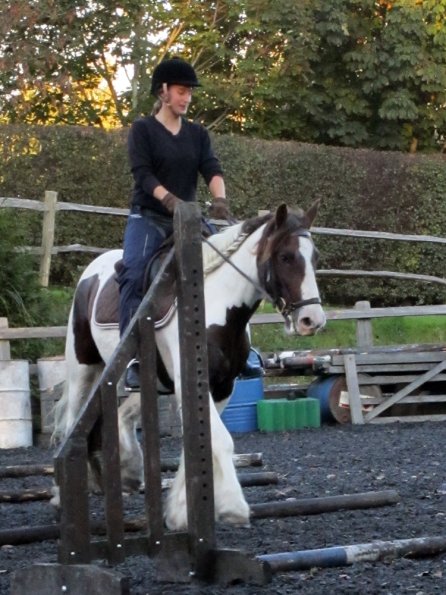 Lance trotting poles (13)