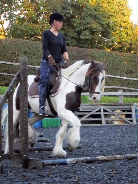 Lance trotting poles (14)