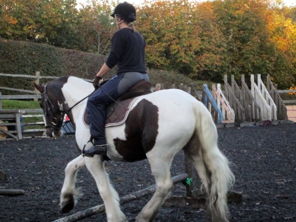 Lance trotting poles (16)