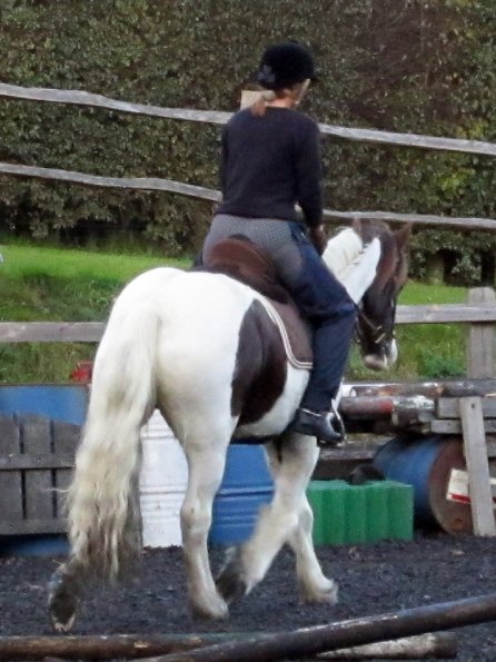 Lance trotting poles (18)