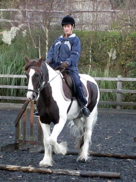 Lance trotting poles (2)