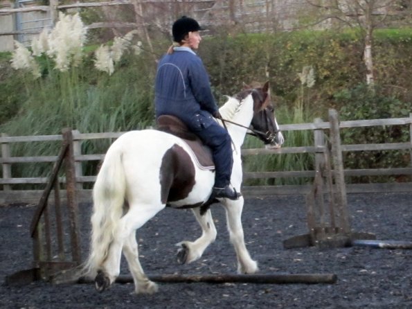 Lance trotting poles (3)