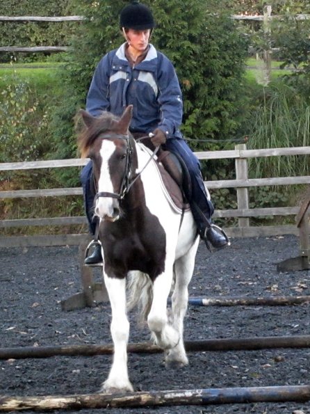 Lance trotting poles (4)