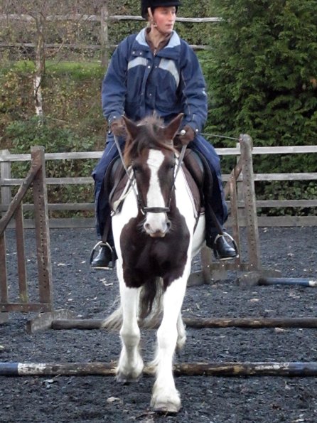 Lance trotting poles (5)