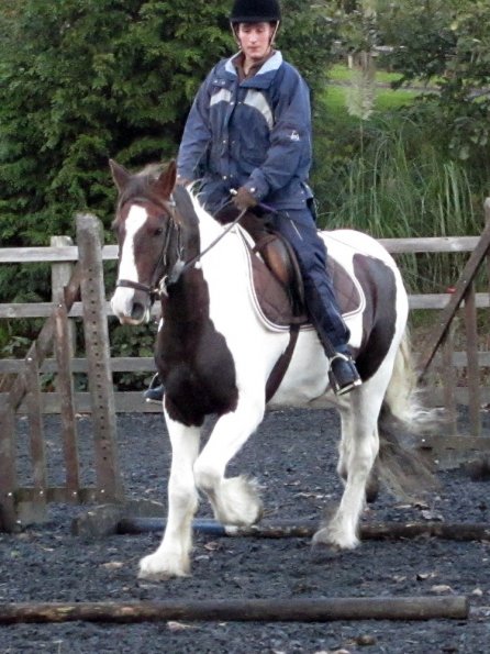 Lance trotting poles (6)