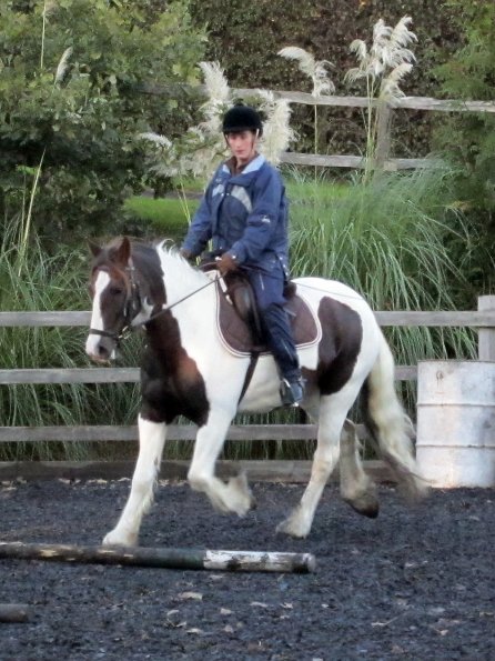 Lance trotting poles (8)