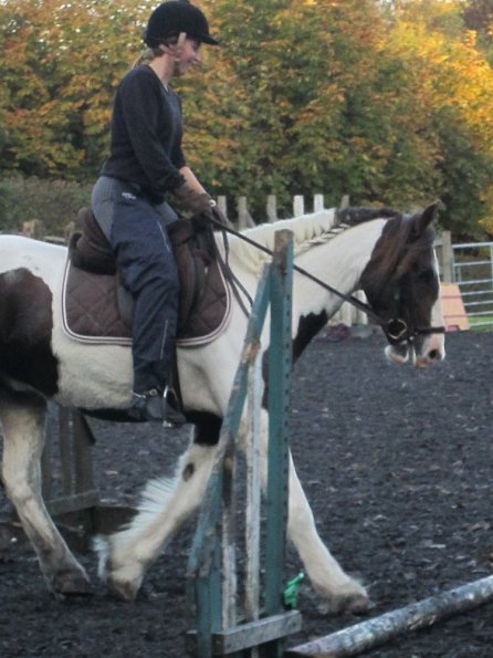 Lance trotting poles