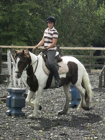 Lance trot work (10)