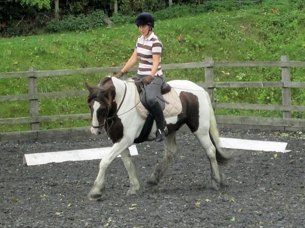 Lance trot work (11)