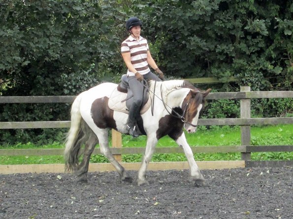 Lance trot work (12)