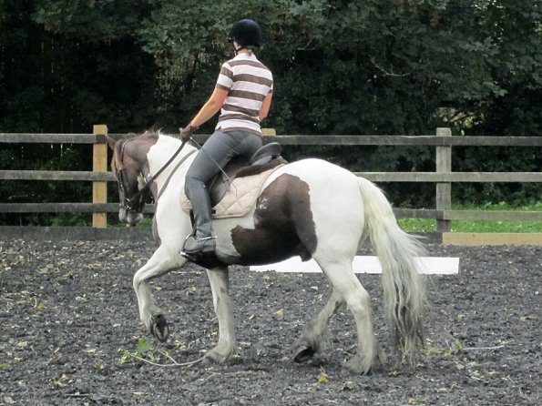 Lance trot work (13)