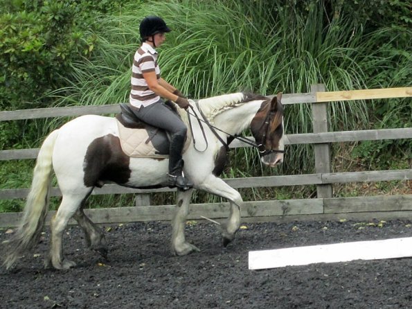 Lance trot work (14)