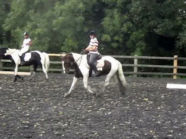 Lance trot work (16)