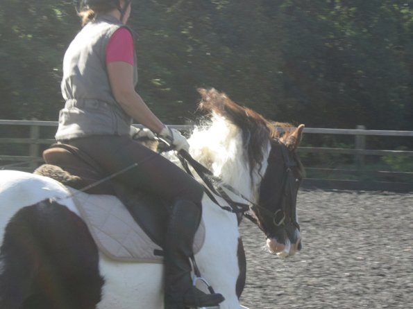 Lesson at Penny September JD Lance (28)
