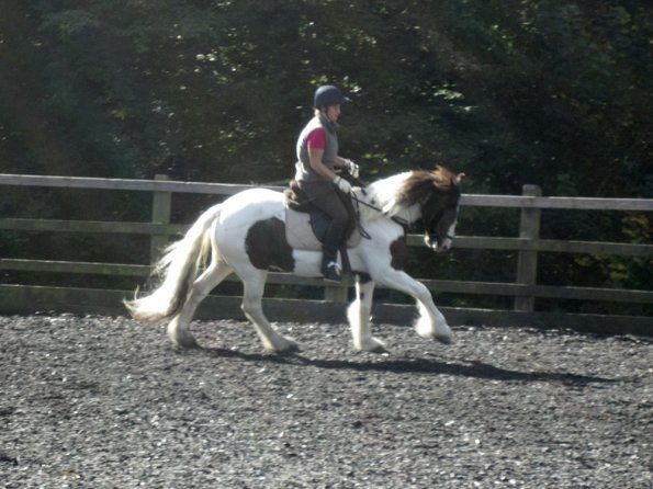 Lesson at Penny September JD Lance (31)
