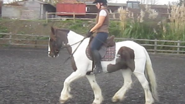 vlcsnap-2012-11-17-19h19m37s128