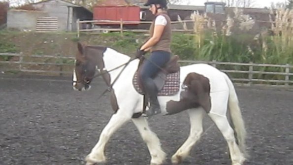 vlcsnap-2012-11-17-19h19m38s172