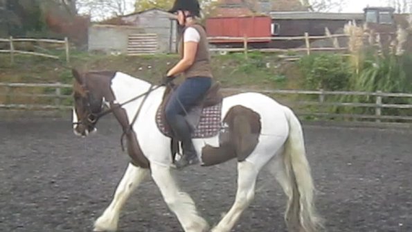 vlcsnap-2012-11-17-19h19m42s208