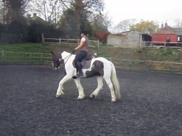 vlcsnap-2012-11-17-19h22m57s110